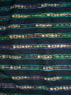 1516.JPG (48124 bytes)